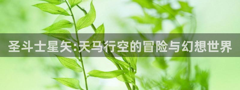 耽漫网下载：圣斗士星矢:天马行空的冒险与幻想世界