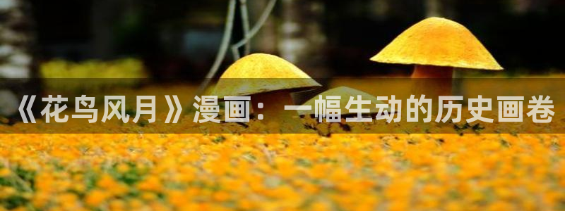 耽漫网之家的最新章节免费阅读：《花鸟风月》漫画：一幅生动的历史画卷