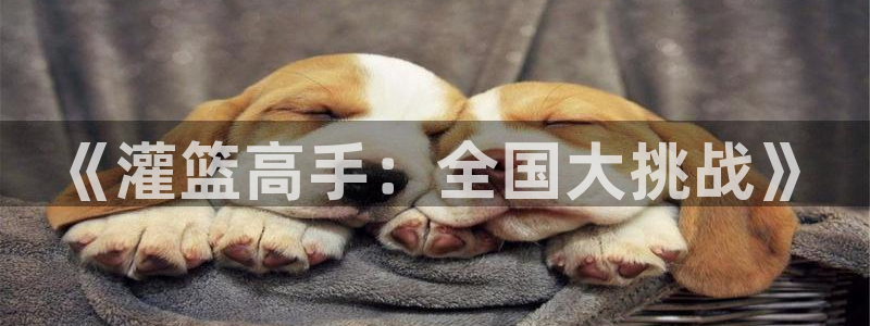 耽漫网之家动漫之家：《灌篮高手：全国大挑战》