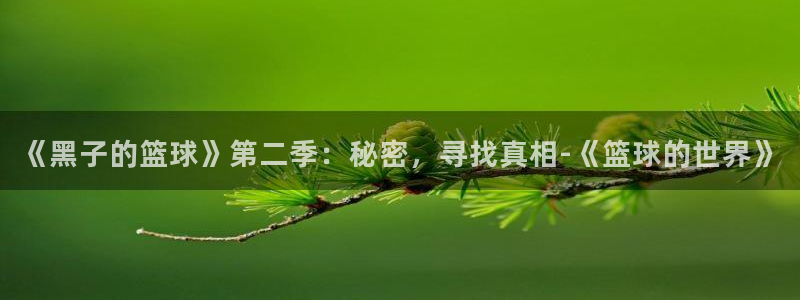 耽漫网官网：《黑子的篮球》第二季：秘密，寻找真相-《篮球的世界》