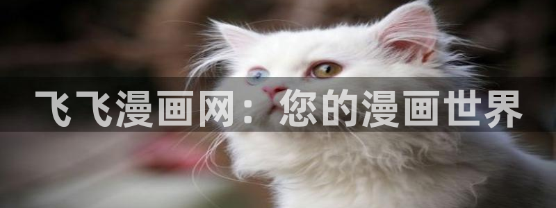 耽漫网官网：飞飞漫画网：您的漫画世界